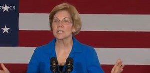 Our Democracy at Work: When in Doubt, Blame the Computer