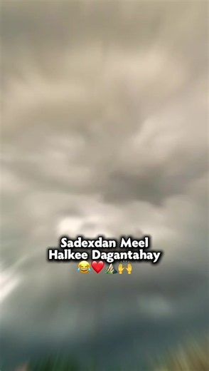 degaan kaagi ma ku jira😂❤️🙌#somalilandtiktok💚🤍❤ #viral_video #viewsproblem #isaaqland #editor