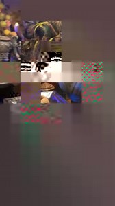 13K views · 283 reactions | Cedar Point's HalloWeekends is family fun during the day, scares at night. | PointBuzz | Facebook