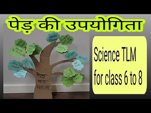 पेड़ की उपयोगिता| Science TLM for class 6 to 8| EVS TLM for class 6 to 8| Science working model TLM