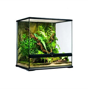 Reptiles supplies range | Habitats, Supplements, Lighting and Decor