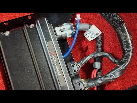 Working on the Holley terminator x