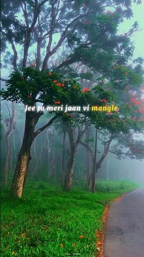 Je Tu Meri Jaan Vi Maangle 💖🌙 O Sanam || Lyrics Status #shorts