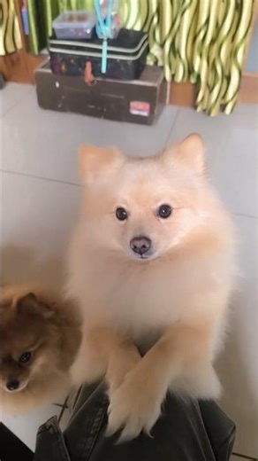 ​Watch Me Do My Nails! 🌸 Mini Vlog Day 8: Simple Floral Nail Art