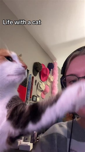 She loves chick fil a . . #smallstreamer #smallstreamercommunity #fyp #twitchstreamer #streamer