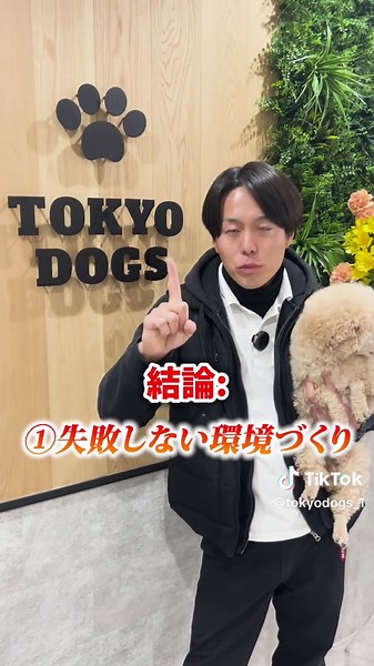はじめてのトイレトレーニングのコツは？ #犬の幼稚園 #犬のしつけ #犬の保育園 #犬のしつけ教室 #ドッグトレーナー #犬のいる暮らし