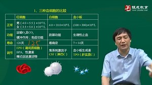 生理03章-02血细胞及其功能（30分钟）_哔哩哔哩_bilibili