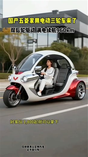 The scooter is ideal for family use #shorts #ytshorts