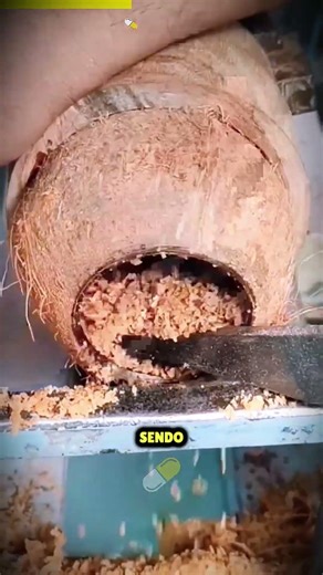 De Coco a Instrumento Musical Rústico 🤯