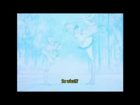 Sailor Moon Super S reversed physique