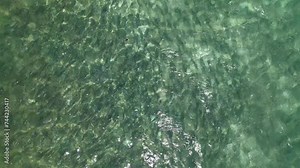 Large shoal of Bonefish seen from the air, Caribbean sea Los Roques Venezuela