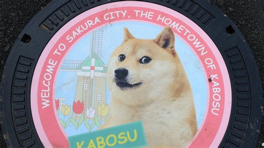 3.2K views · 28 reactions | Kabosu the dog is best known as the logo of Dogecoin, but to her owner Atsuko Sato, the Shiba inu has been a steadfast companion for over a decade. | AFP News Agency | Facebook