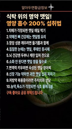 식탁 위의 명약 깻잎! 영양 흡수 200% 올리는 반전 섭취법 #깻잎효능 #깻잎부작용 #건강식단 #노안예방 #치매에좋은음식 #올바른보관법 #생활꿀팁