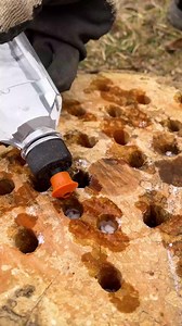 Burning the Old Tree | Science, Tech and Universe