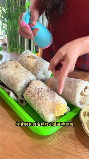 Mushroom spawn bags are easy and safe to grow. #growingtips #mushroomspawnbags #growingvegetables...