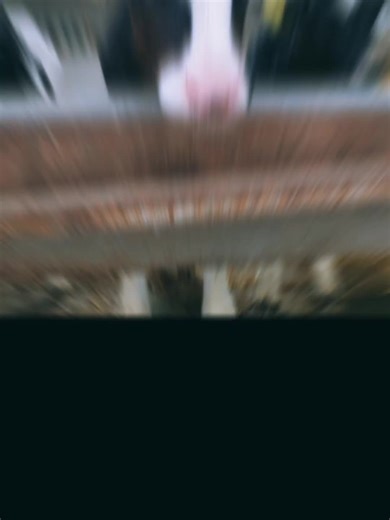 Calf-shed calm 💚 There’s something special about watching them stretch out in the fresh straw, settle in beside their twins, or trot over for a nosey hello. Simple farm moments that mean everything.