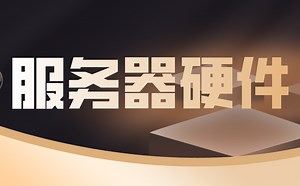 B站最硬核的服务器硬件讲解视频，零基础入门