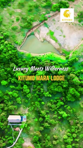 🎥✨ Step inside Kitumo Mara Lodge — where privacy meets pure luxury in the heart of Maasai Mara! Take a quick tour of our beautiful interiors, designed for ultimate comfort and breath-taking mountain views. 🌄🏡 Ready for your private escape? 📩 Book your dream stay with us today! #kitumomara #privatelodge #MasaiMaraMagic #LuxuryInNature #travelkenya