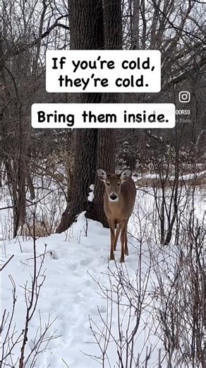 It’s Up to Hunters to Do the Right Thing!