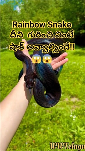 Rainbow Snake in united states #shorts #facts #ytshorts #telugu