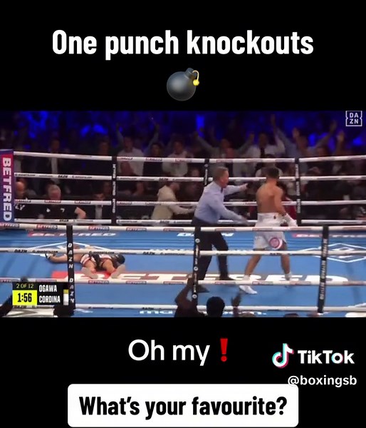 Knockout Highlights in Boxing Matches