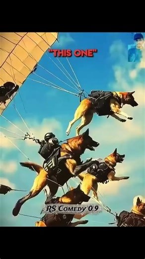 others guard dog protection training vs last☠️