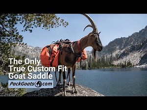 The Only True Custom Fit Goat Saddle