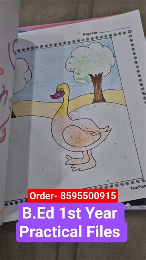 B.Ed 1st Year practical Files Readymade | 8595500915