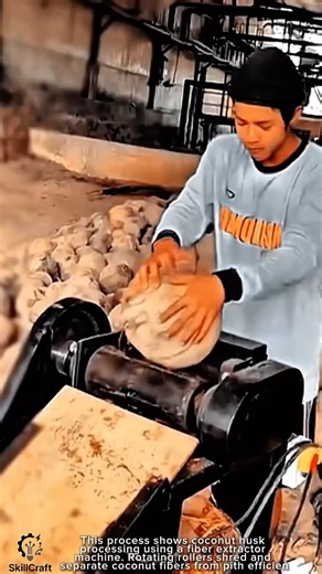Coconut Husk Processing Work Tool Using Fiber Extractor Machine #worktool