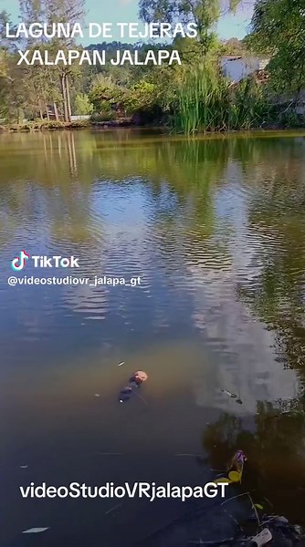 VIDEO STUDIO VR JALAPA GT on TikTok