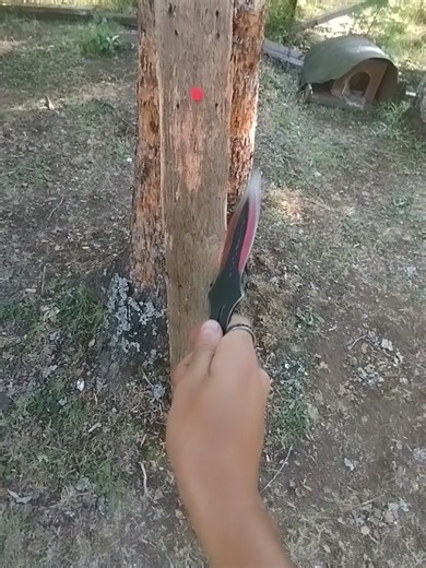 Lanzando Cuchillos con Estilo: Día 9 del Reto