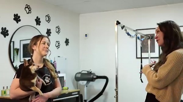 GIVEAWAY 🐾 This week we are giving away $50 off your grooming session with Pampered Paws Grooming Salon! We met with Megan to learn more about her new, all-inclusive dog grooming salon in the heart of downtown Chillicothe. She offers a unique 1:1 approach, meaning there will never be more than one dog or household in the salon at the same time. Grooming can be a scary thing for many dogs, and Pampered Paws' goal is to ensure their four-legged clients have the most comfortable experience possibl