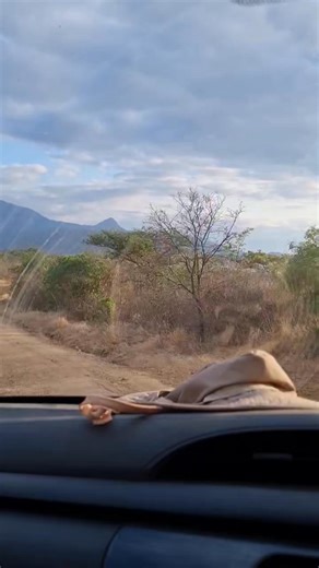 Agriculture is a complex field, it takes teamwork to unlock its full potential. As #Avgust, we believe that: #WeGrowWellTogether #TogetherWeGoFar SeedCo #womeninagriculture #avgust | Tiger Agro Chem