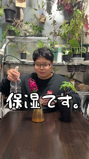 霧吹きは化粧水 #園芸 #観葉植物
