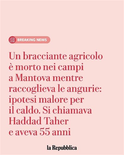 Bracciante muore nei campi del Mantovano: ipotesi malore per il caldo, aveva 55 anni