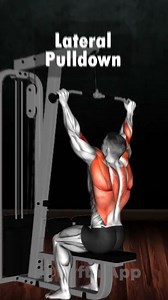 Top 10 back exercises 💪 | EFitnessHelp