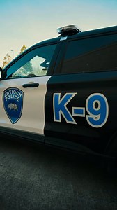 79K views · 2.5K reactions | Oops, we did it again!! Thursday...