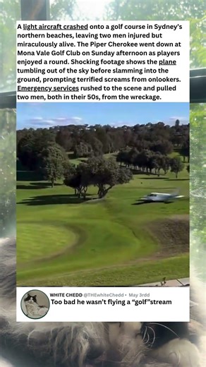 Private Jet CRASHES Intro Golf Course 😳 #shorts #aviation #golf #planecrash #crazy #airplane
