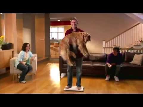 Wii Fit Plus Wii E3 - Game with Fit Meter and Balance Board