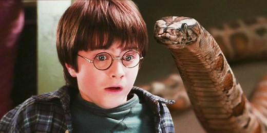 Harry Potter's Snake Interaction In First Movie Prompts Analysis From Expert