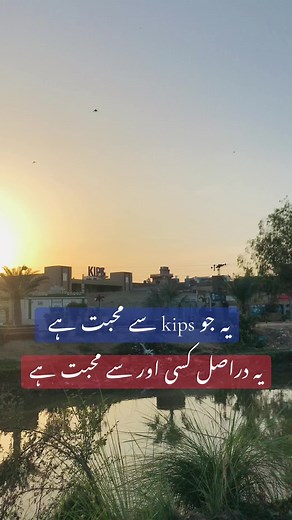 KIPS College Love Story: Student Life Reflections