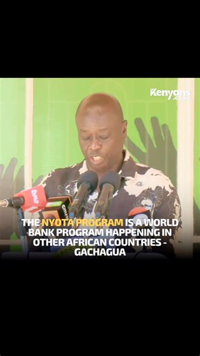 The NYOTA program is a World Bank program happening in other African countries like Angola, Mozambique, Nigeria, Senegal, Benin and Togo - Gachagua | Newton Solo