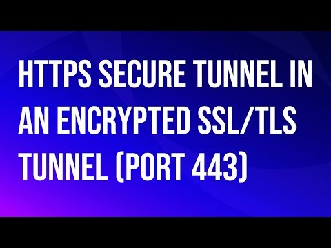 VMware\\Omnissa Horizon HTTP(s) Secure Tunnel in an encrypted SSL/TLS tunnel.