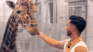 48K views · 272 reactions | We’re only 9 days away from the opening of the Topeka Zoo’s newest exhibit, Giraffe & Friends, and we're excited to share an exclusive sneak peek! Set out on a safari adventure with Marlon Martinez and Visit Topeka, as we explore the largest habitat in the zoo’s history. #topeka #kansas #topekazoo #giraffe #animals #visittopeka #springbreak | Visit Topeka | Facebook