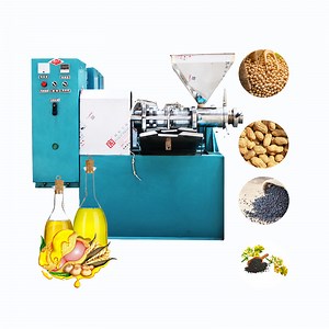 [Hot Item] Automatic High Quality Cooking Oil Press Machine