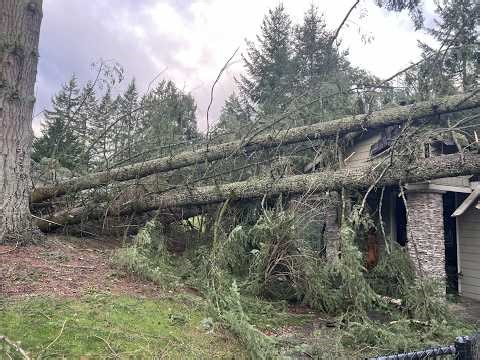 Back After Disaster!