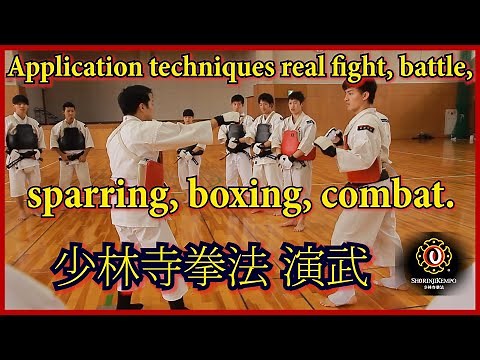 Application techniques real fight, randori, battle sparring, boxing, combat. 少林寺拳法 実戦 動画. 少林寺拳法 実戦.