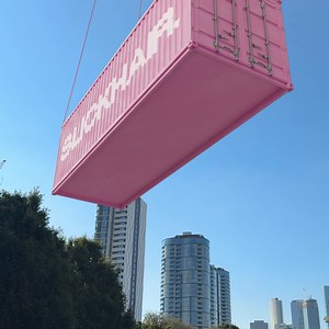 67K views · 58 reactions | It’s landed. The viral brush that sold out in 72 hours is officially BACK and better than ever  We re-engineered our best-seller based on your feedback:  100% curved nylon bristles that contour to the shape of your head  Premium handle material  Limited restock | Slickhair | Facebook