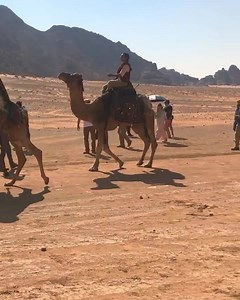 4.5K views · 38 reactions | Go on a magic carpet ride with the live-action remake of #Aladdin ! Get tickets for your adventure at www.bbtheatres.com #AWholeNewWorld #BBTheatres #BBbackstagepass #Disney | B&B Theatres Reno Cinema 8 | Facebook