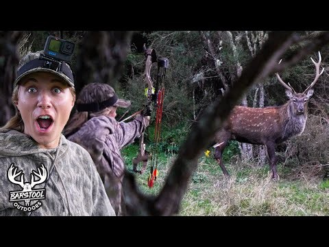Bow Hunting a GIANT: 45 yard shot! (Ft. Tim Wells)